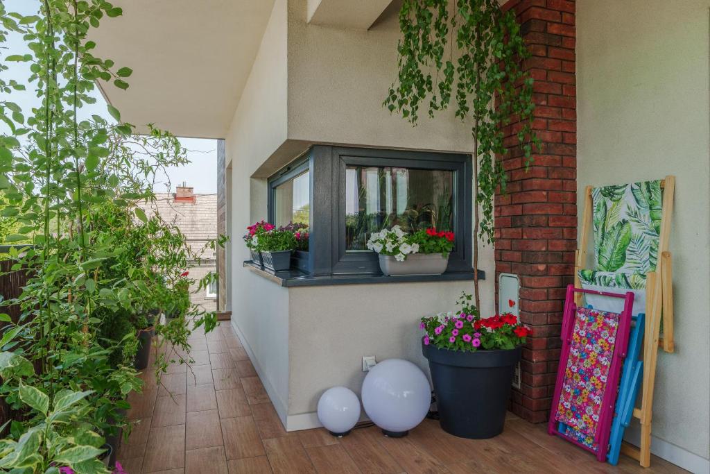 Apartament Green Plant - 1 lub 2 oddzielne sypialnie, taras 30m2, garaż podziemny, FV vat, Targi, klima, dostęp 24h - 16