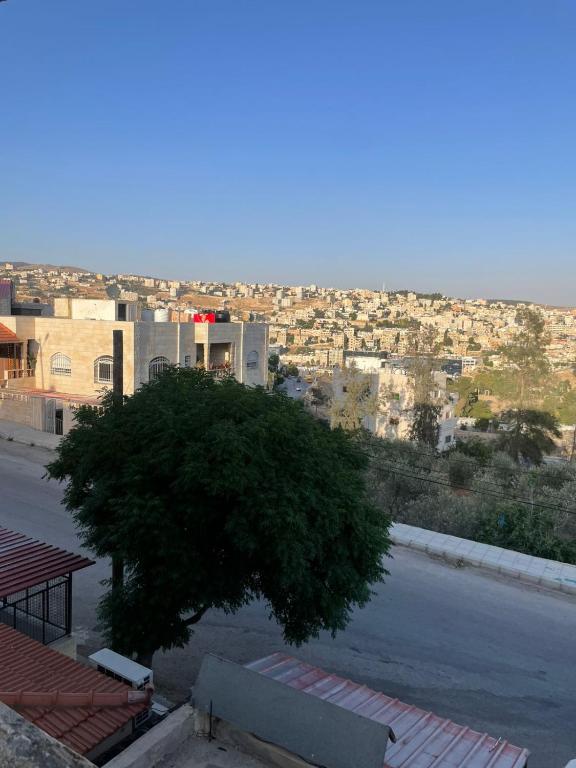 Vista general de Jerash o vistes de la ciutat des de l'apartament
