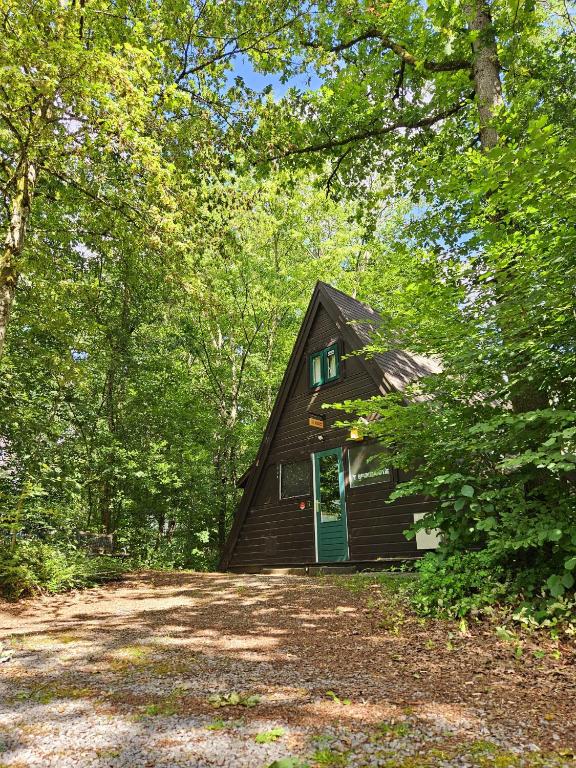 杜柏Les Jardins de Durbuy的树林中带绿门的房子