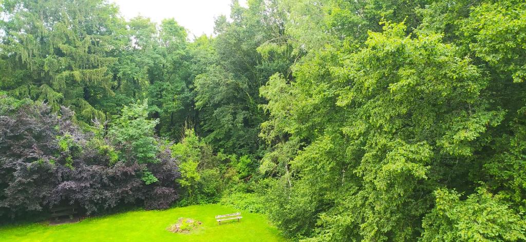 Příroda nedaleko apartmánu