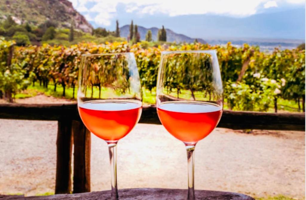 two wine glasses sitting on a table in front of a vineyard at Altos del Norte - Salta la Linda ! in Salta