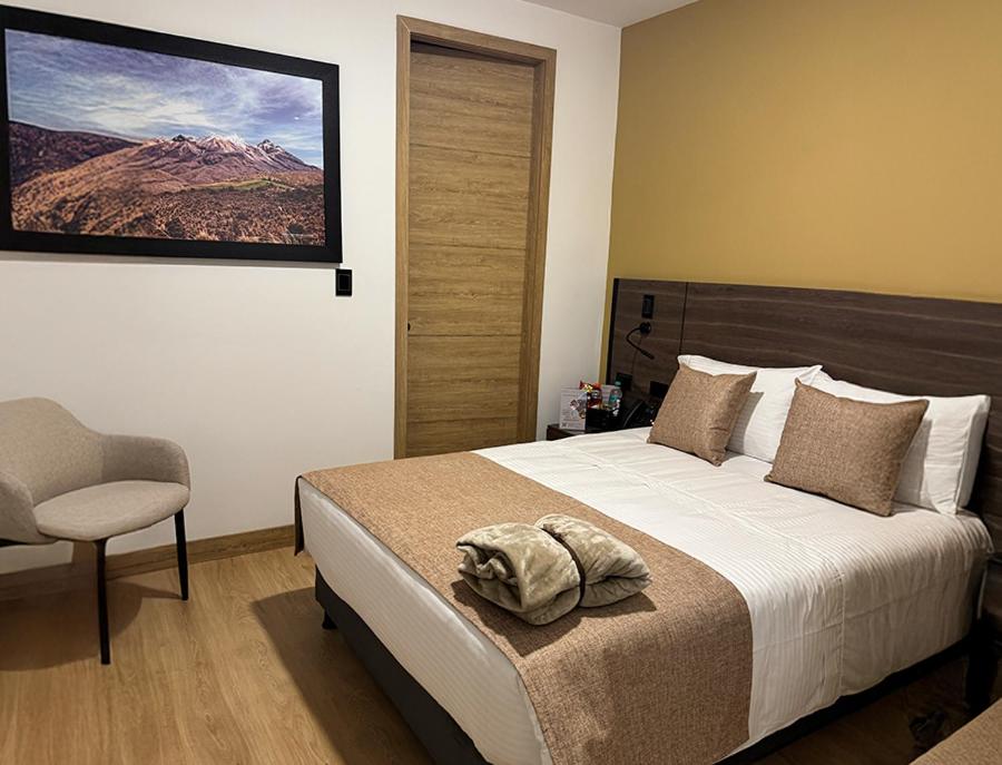 Postel nebo postele na pokoji v ubytování Entrenevados Hotel