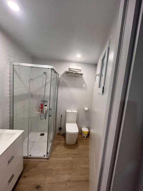 łazienka z prysznicem i białą toaletą w obiekcie Apartamento Isabel w mieście Ardales