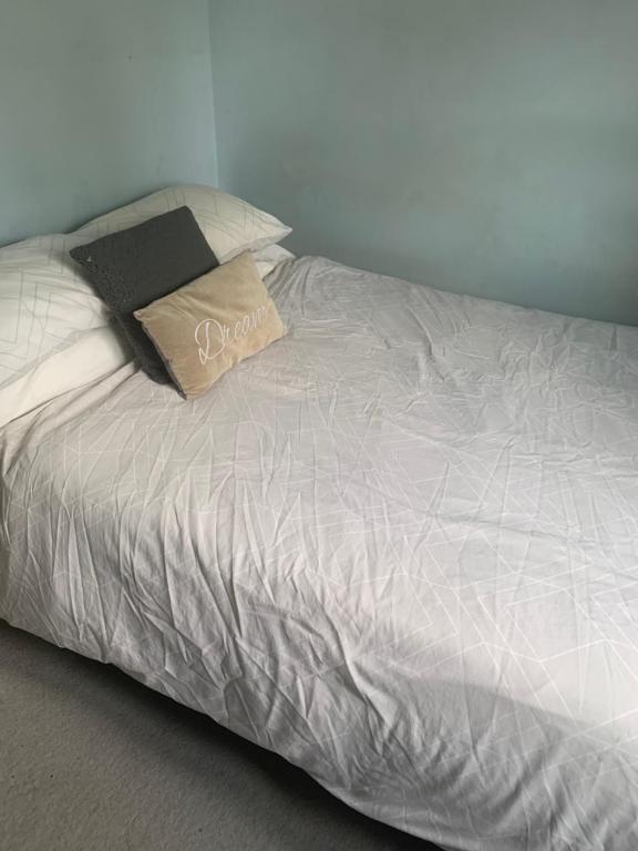 a bed with a gray comforter and two pillows at FEMALES ONLY OR Couples for DOUBLE ROOM - near Stonehenge in Oare