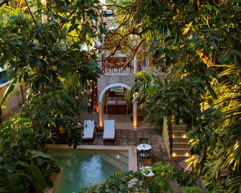 Zahrada ubytování Hotel Poquito a Poquito