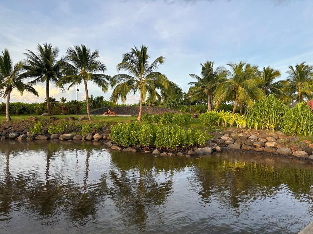 Les Tainas - photo 10 - Tahiti, Polynésie
