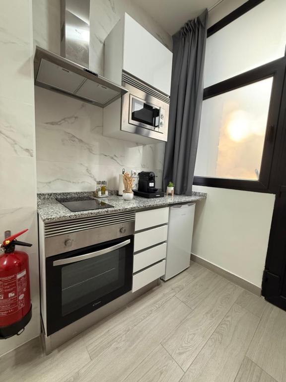 APARTAMENTOS CIUDAD DE LAS ARTES Y LAS CIENCIAS - Resim 24