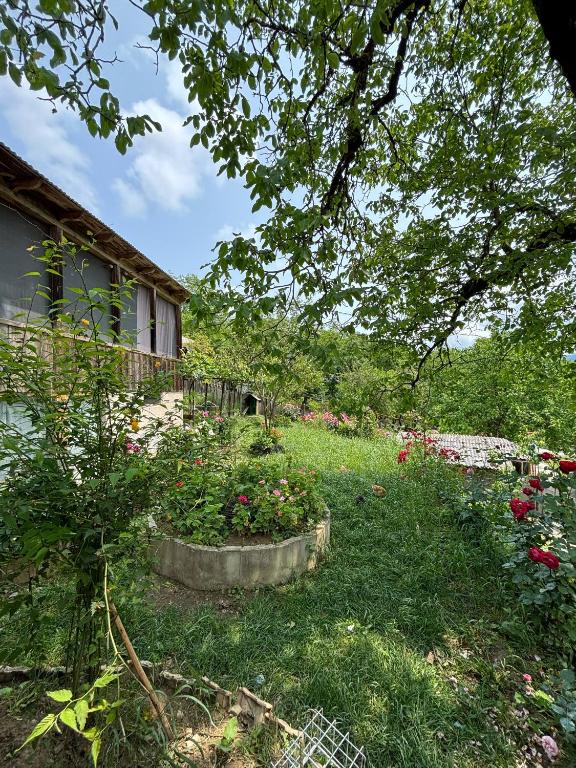 Zahrada ubytování Friendly Cottage with small Pool