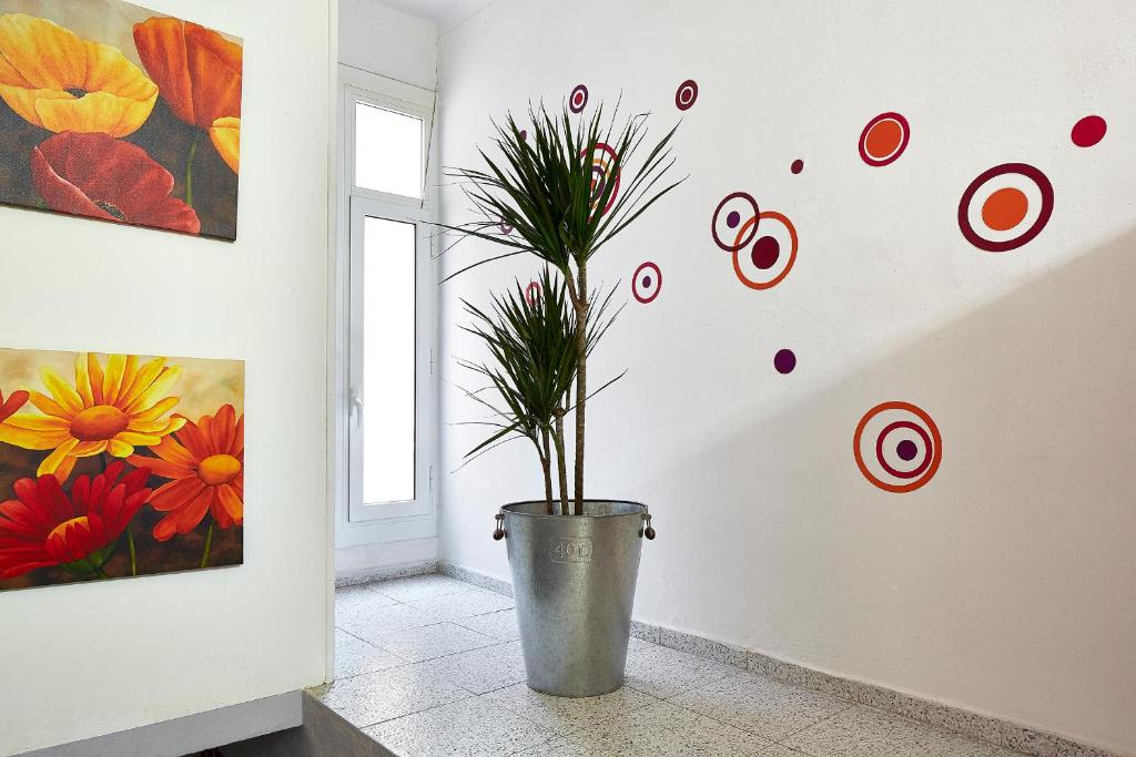 Fotografie z fotogalerie ubytování Hostal River v destinaci Barcelona
