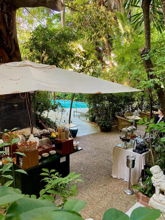 Le Windsor, Jungle Art Hotel - Resim 19