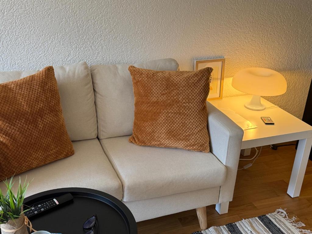 a white couch with pillows on it in a living room at Fribourg Studio Home in Fribourg