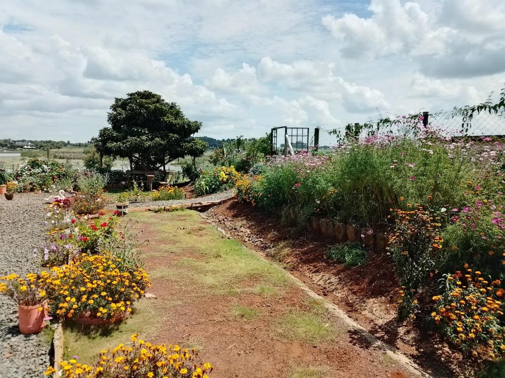 un giardino pieno di diversi tipi di fiori di Beautiful Lake Side Home a Eldoret
