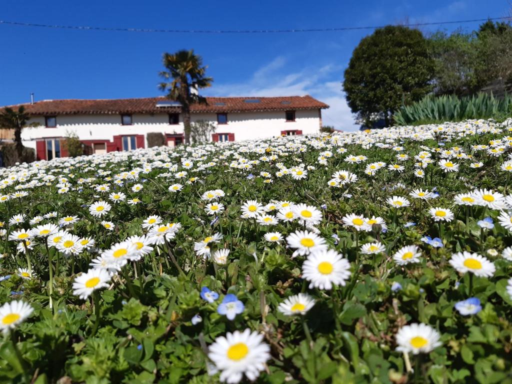 Zahrada ubytování BnB Ferme Beauregard Les Pyrénées