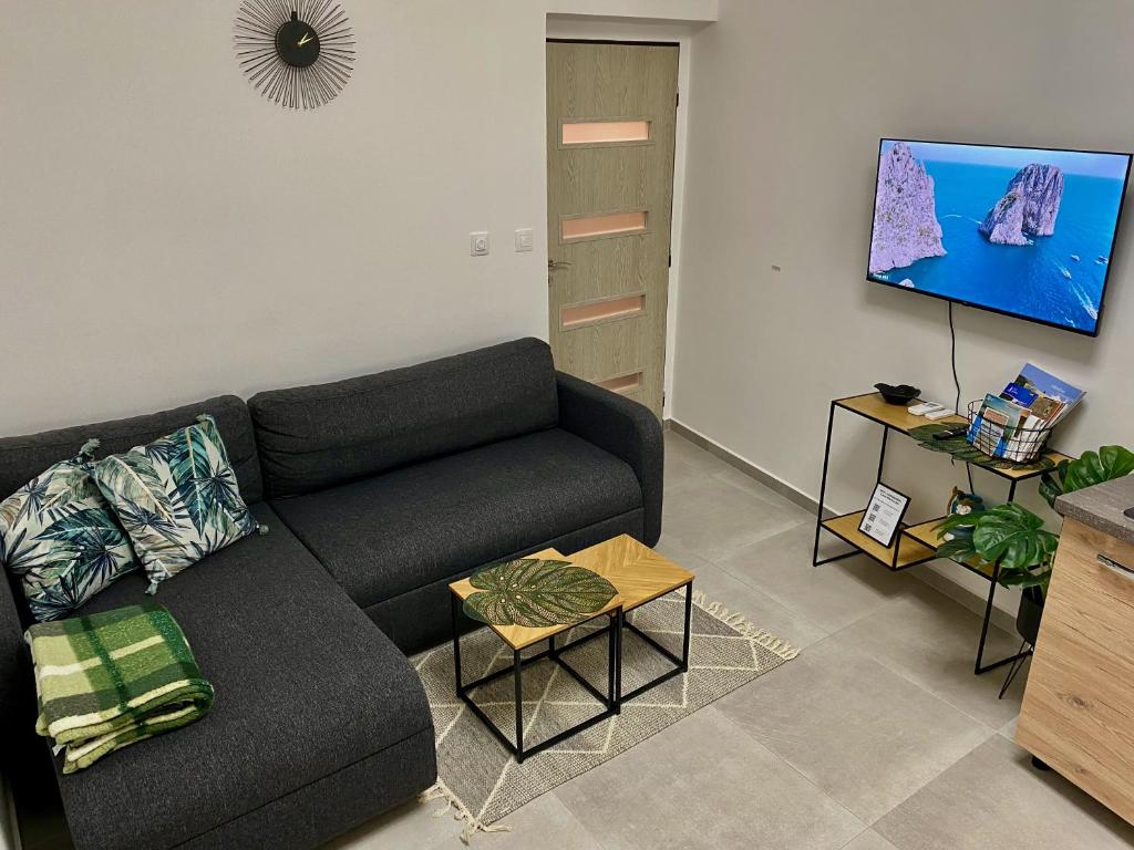 TV a/nebo společenská místnost v ubytování Loket Island