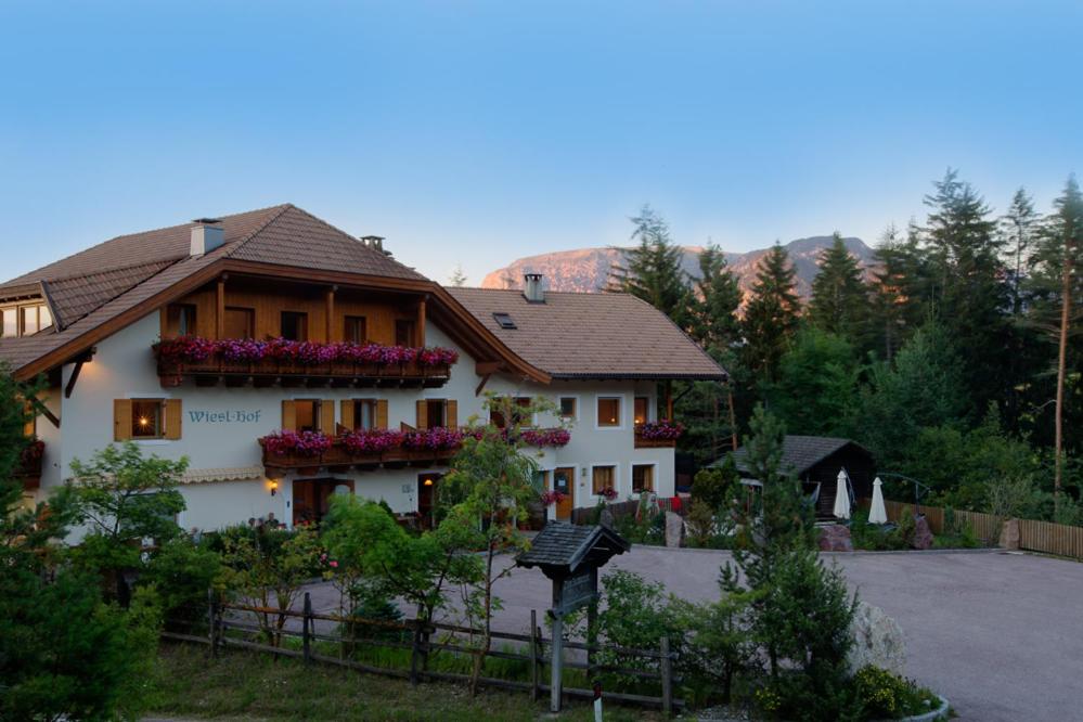 Příroda nedaleko hotelu