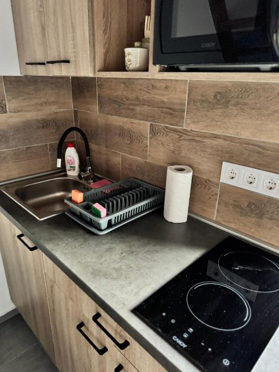 Kuchyňa alebo kuchynka v ubytovaní Laguna apartman Bogács