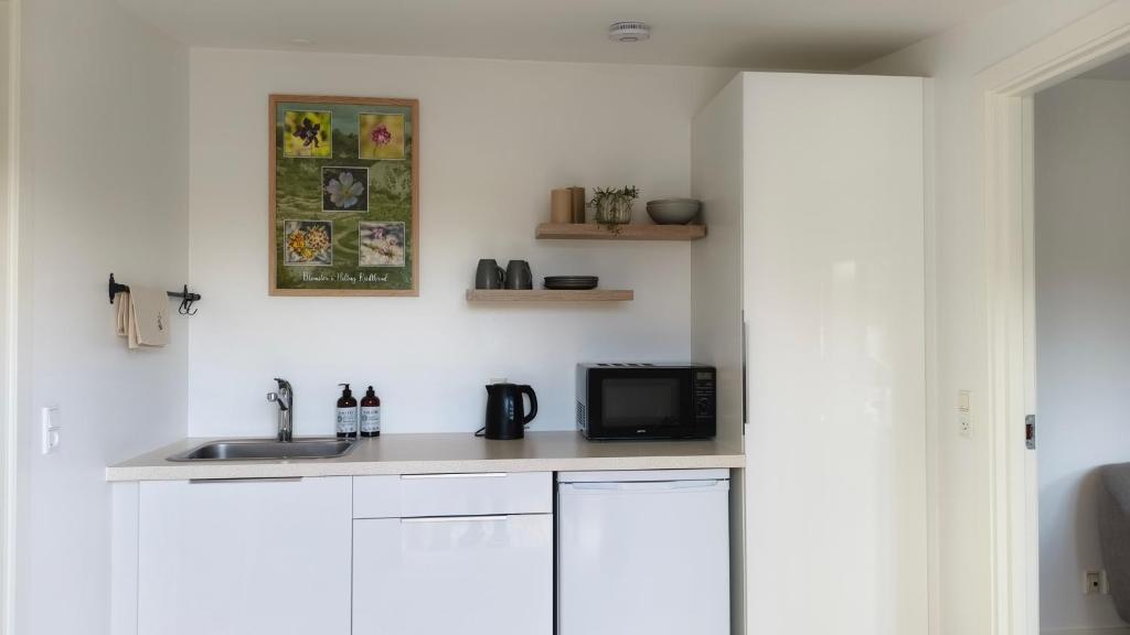 Kuchyň nebo kuchyňský kout v ubytování Cozy Apartment Stevns