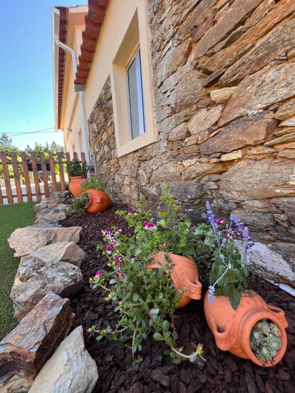 a garden with flower pots and a stone wall at MirakostaCB in Castelo Branco