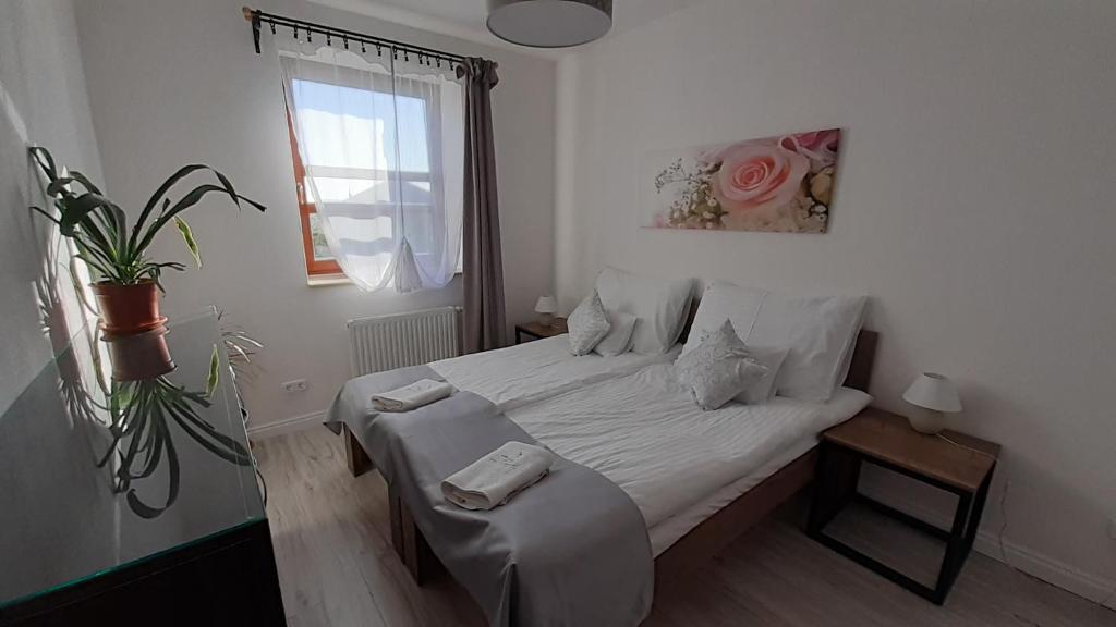 Postel nebo postele na pokoji v ubytování Bíbic Apartman D