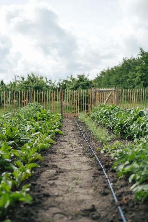 Zahrada ubytování Eco Farm Camping 'de Waeldernis'