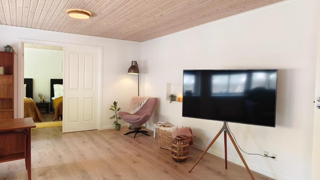 TV a/nebo společenská místnost v ubytování Cozy Apartment Stevns