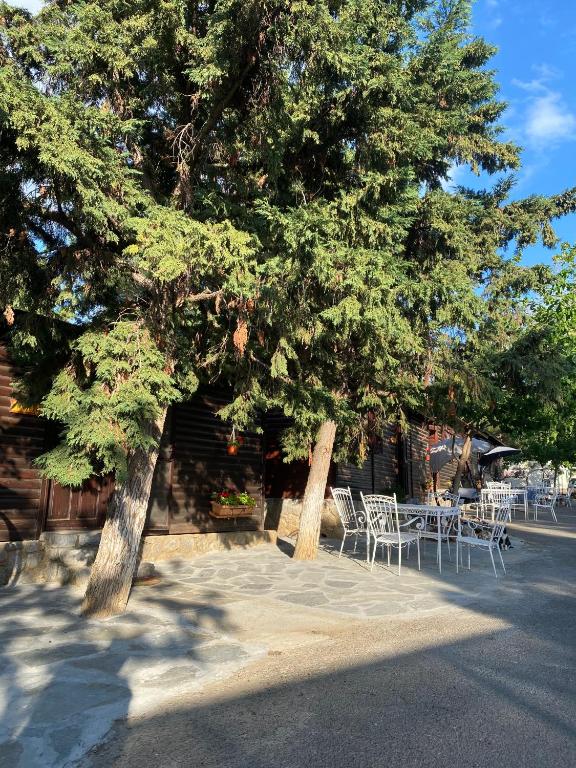 Fotografie z fotogalerie ubytování Bungalow - Camping Apollon v destinaci Delfy