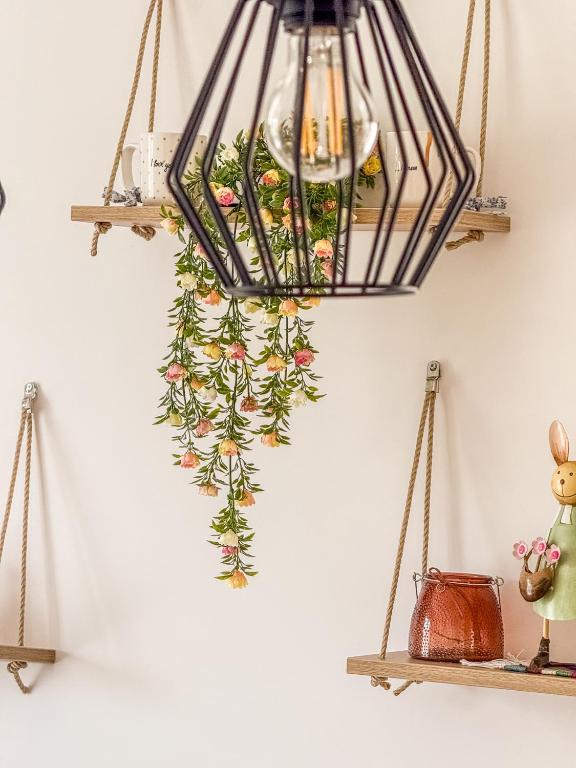 Fotografie z fotogalerie ubytování Apartment Vila Jela v destinaci Kolašin