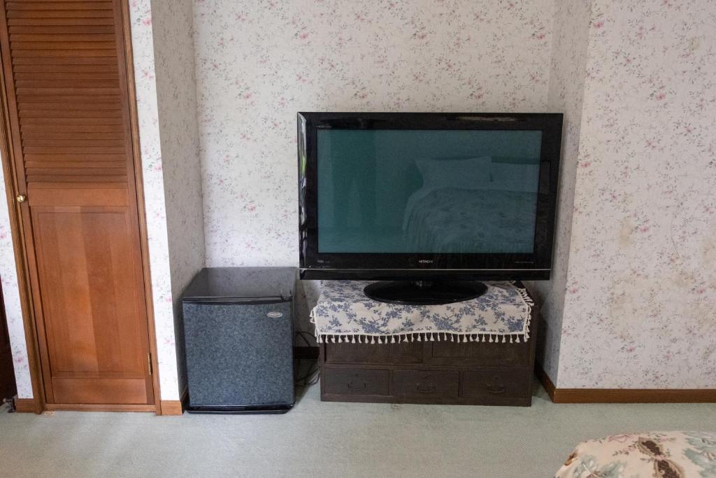 TV a/nebo společenská místnost v ubytování Pension Balmy