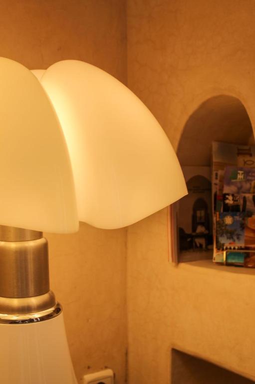 RIAD MAJWRIL — photo 9