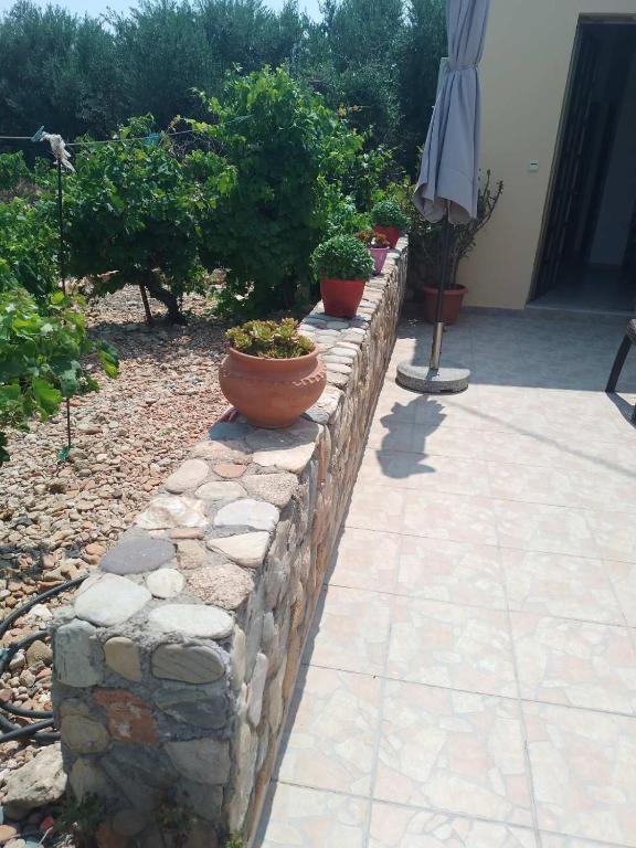 Zahrada ubytování Philoxenia Holiday Home
