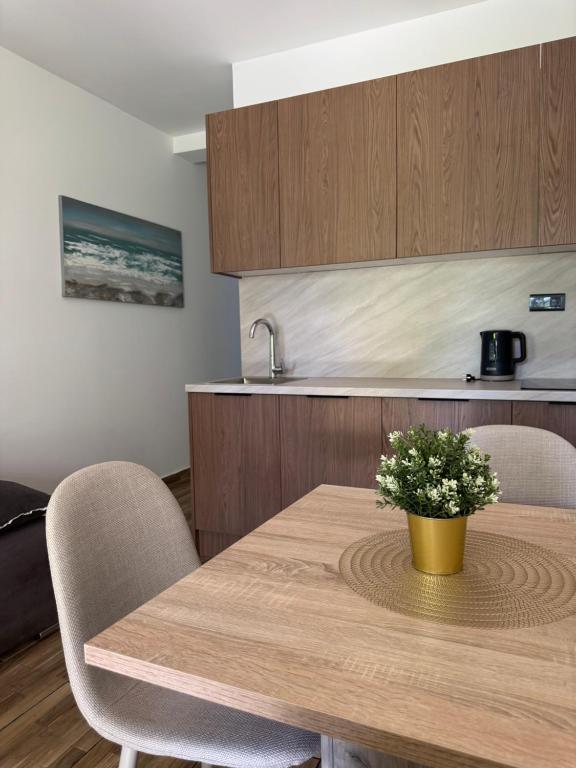 Kuchyňa alebo kuchynka v ubytovaní Laganini Apartments