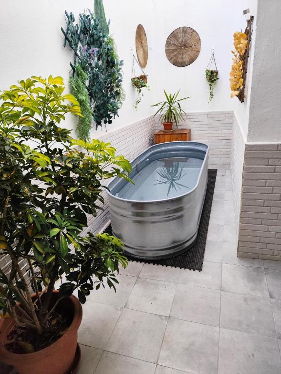 Apartamentos De la Haya & Suite con Jacuzzi, junto al Teatro Romano - 14