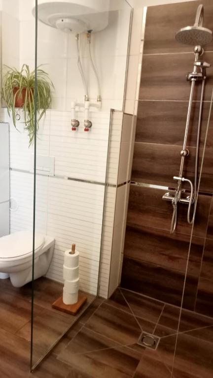 Koupelna v ubytování Bíbic Apartman D