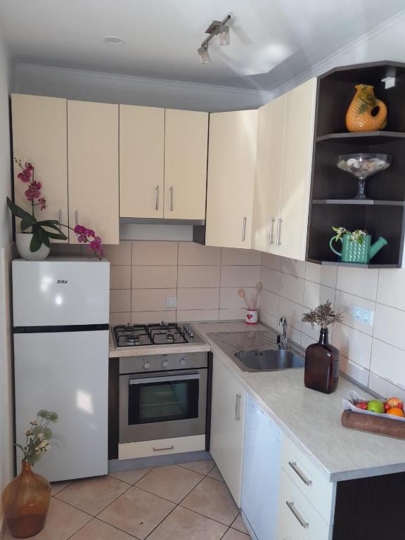 Kuchyňa alebo kuchynka v ubytovaní Apartments Karoma