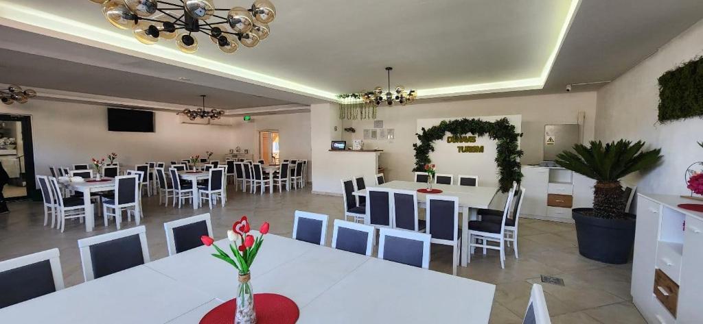 Restaurace v ubytování Hotel Dunavis