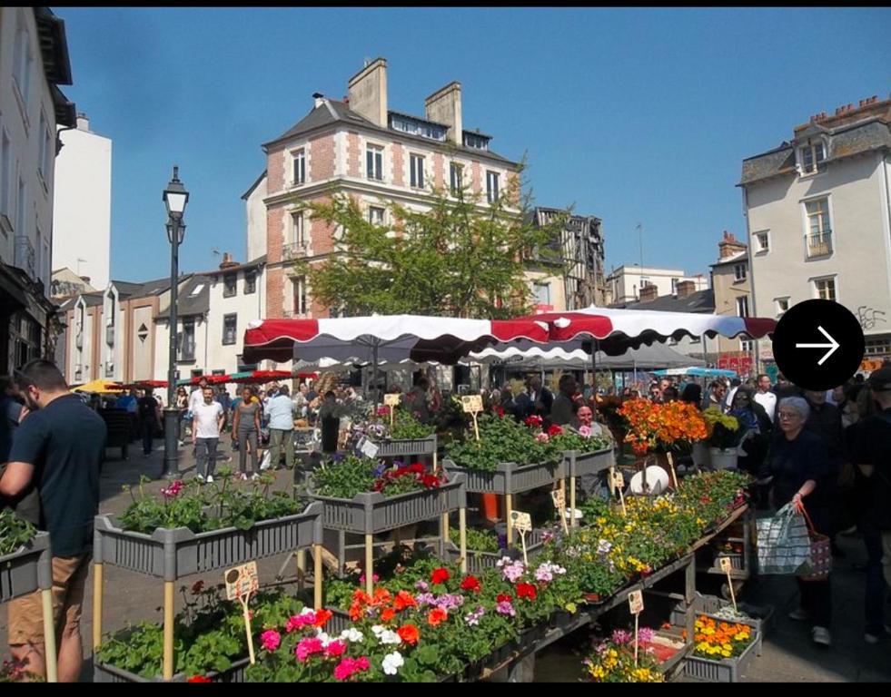Un groupe de personnes se promenant autour d'un marché avec des fleurs dans l'établissement Appartement centre historique Rennes, à Rennes