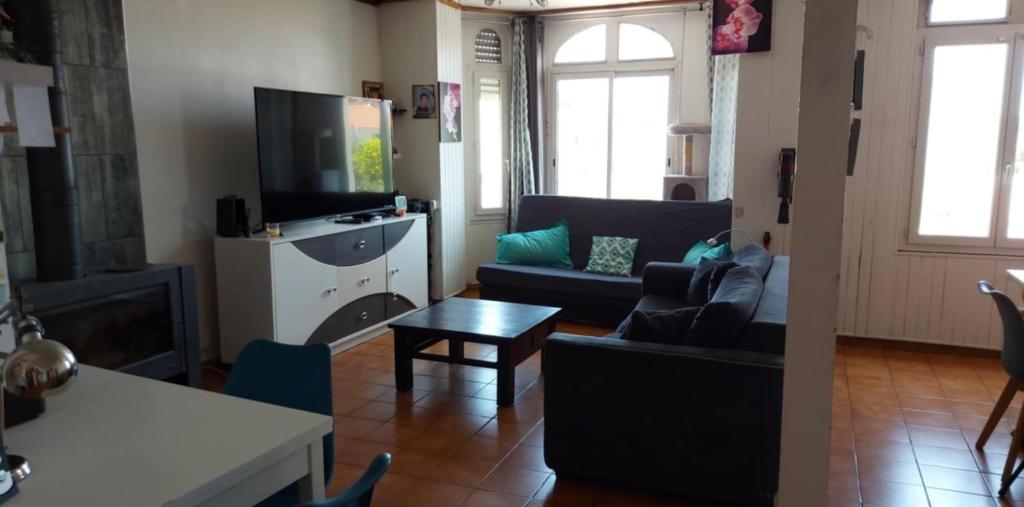 Una sala de estar con un sofá y un televisor. en HAUT DE VILLA piscine 8 couchages, en La Ciotat