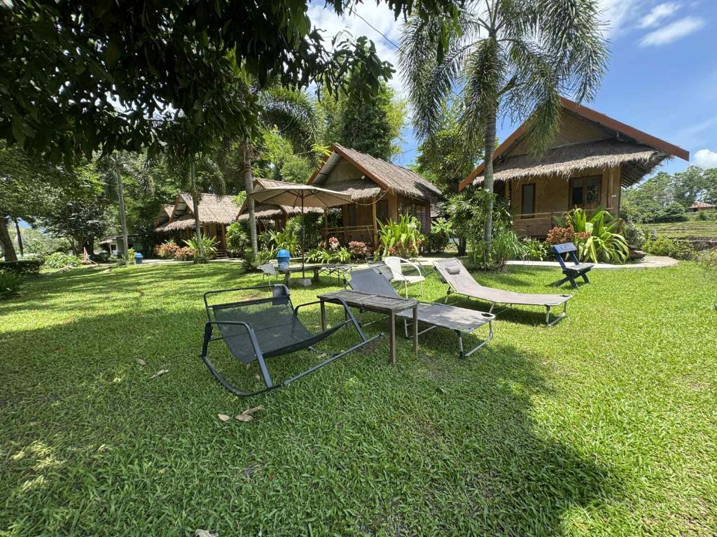 Zahrada ubytování Butterfly Hostel, Pai
