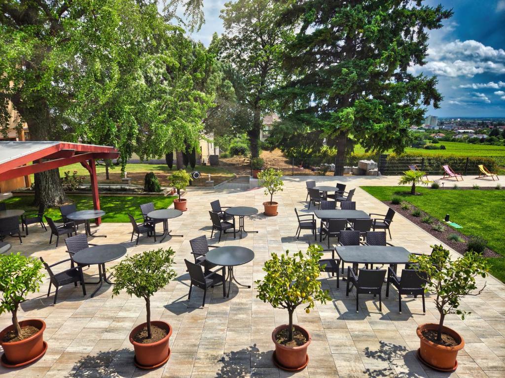 Zahrada ubytování Hotel Tenner
