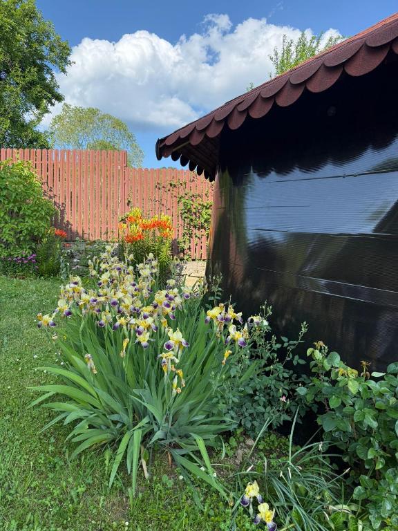 Zahrada ubytování Casa Silvia