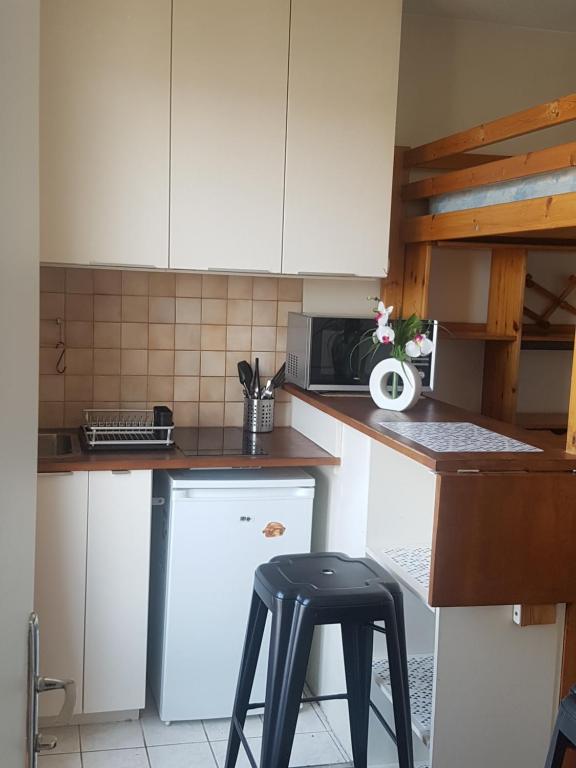 La cuisine est équipée d'un réfrigérateur blanc et d'un four micro-ondes. dans l'établissement Studio Paris Nation-Bastille, à Paris