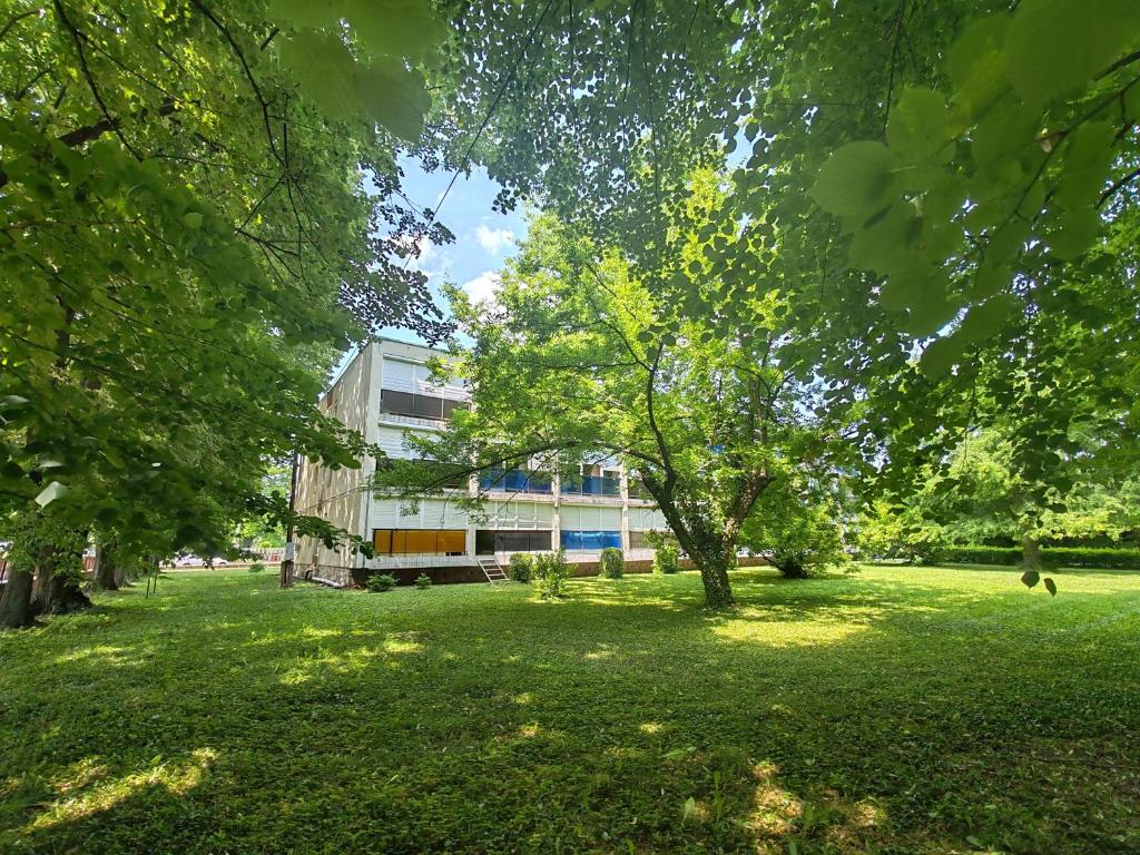 Zahrada ubytování Orchidea apartman