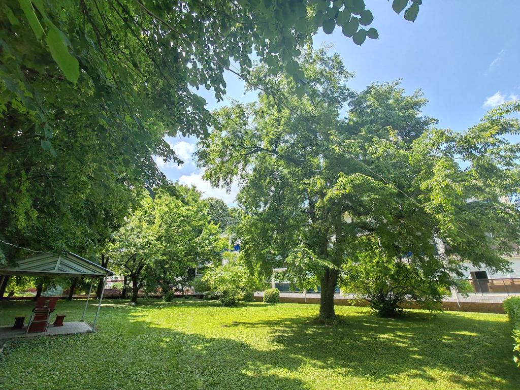 Zahrada ubytování Orchidea apartman