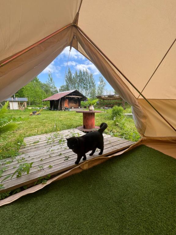 Domácí mazlíčci ubytovaní s hosty v ubytování Glämping Jantsu talus