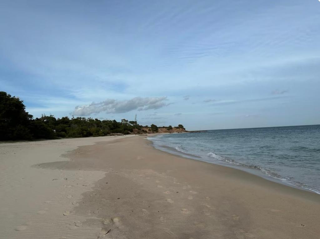 a sandy beach with the ocean and trees on it at Casa Calaverde in Fort Village