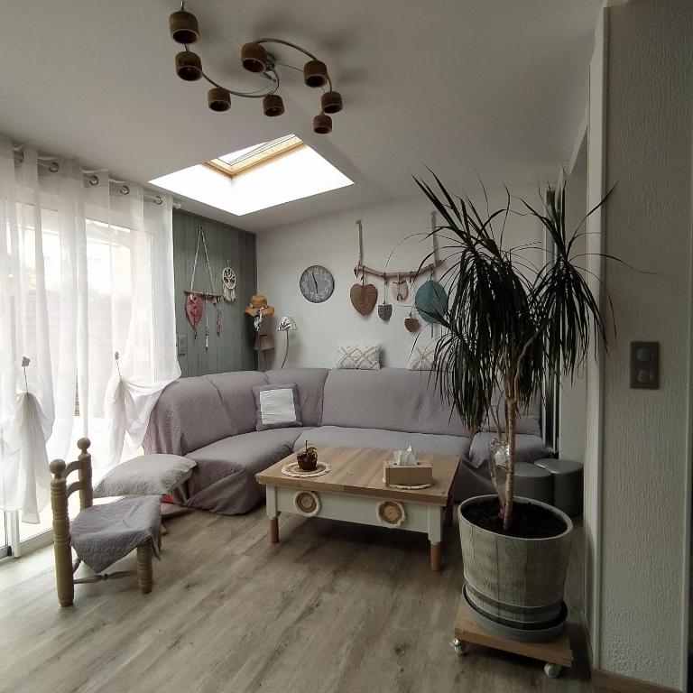 un salon avec un canapé et une plante en pot dans l'établissement Maison entière 5 chambres à 10mn à pied de l'entrée principale du Circuit 24h Du Mans, au Mans