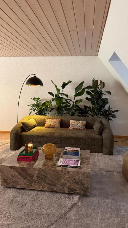 Maison Züri - Resim 24