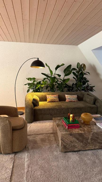 Maison Züri - Resim 42