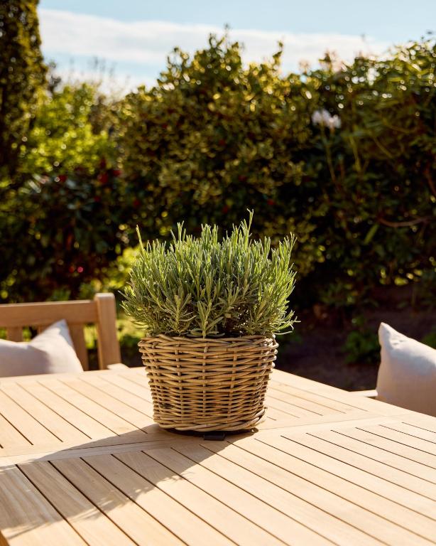 Zahrada ubytování Watthus Morsum mit Kamin und traumhaftem Garten