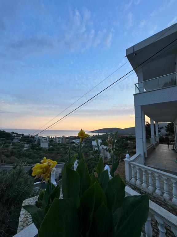 Vila Alexandros